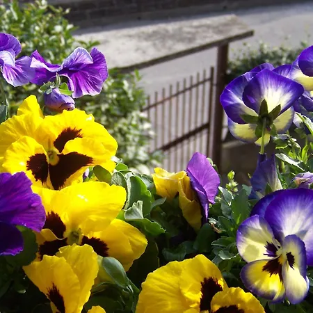 דירה Residenza Capri